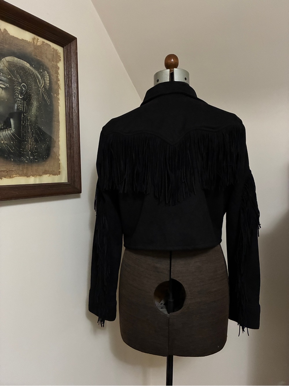 Vegan Suede Wrangler Cropped Fringe Jacket - Picture 4 of 13